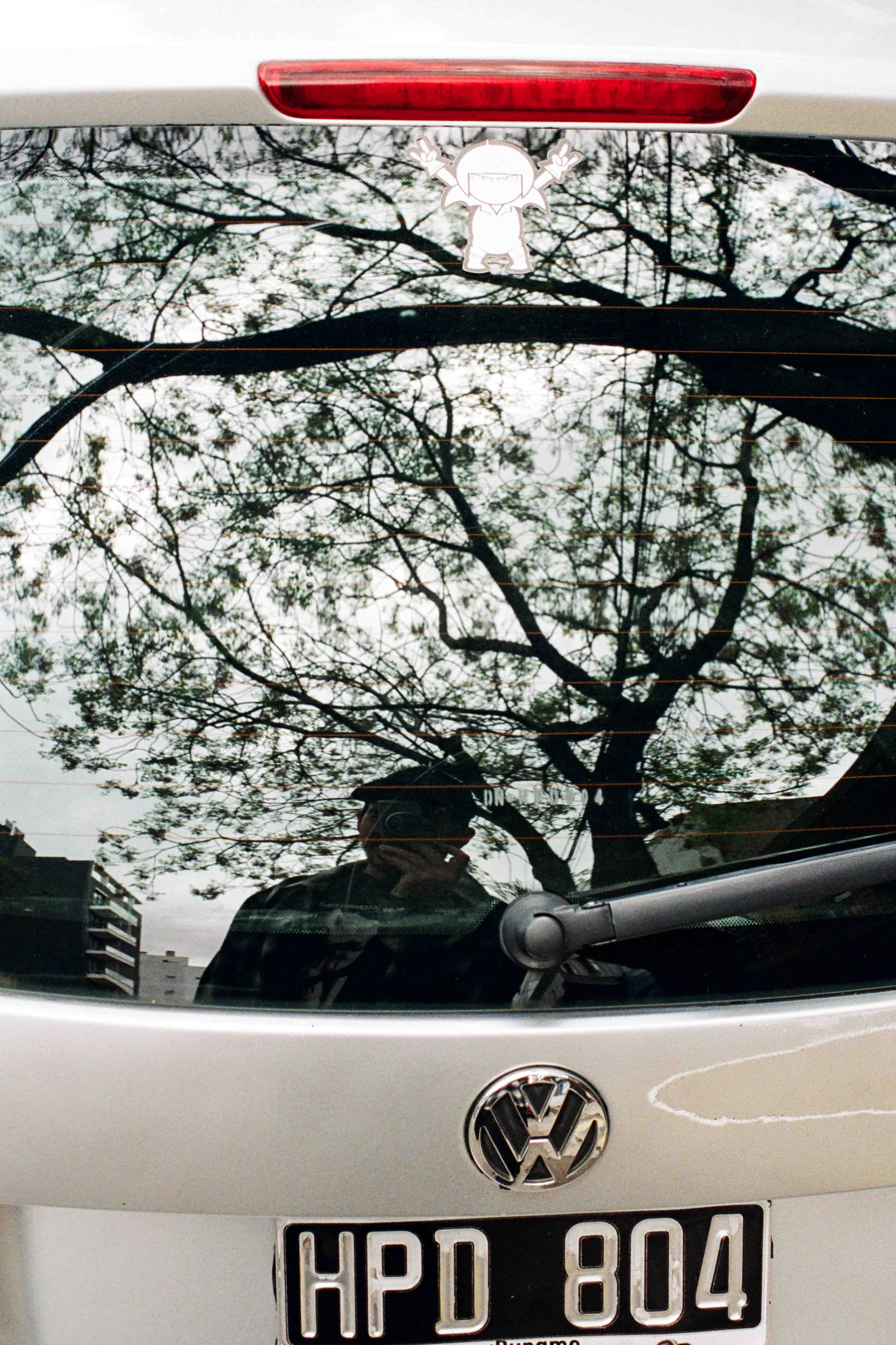 Autorretrato sobre vidrio de auto con reflejo de ramas