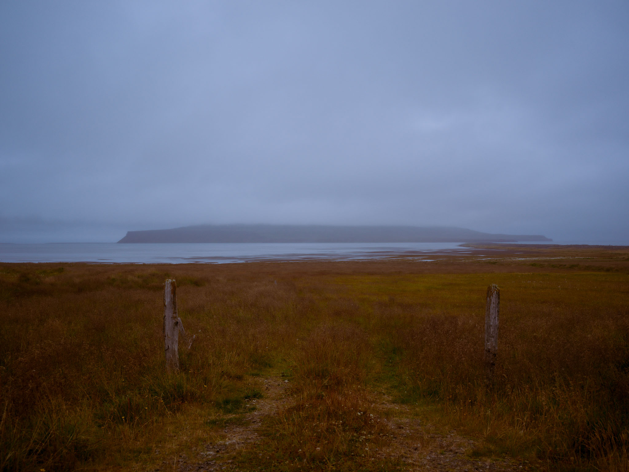 Camino de tierra entre dos postes de madera que conduce hacia una costa cubierta de niebla.