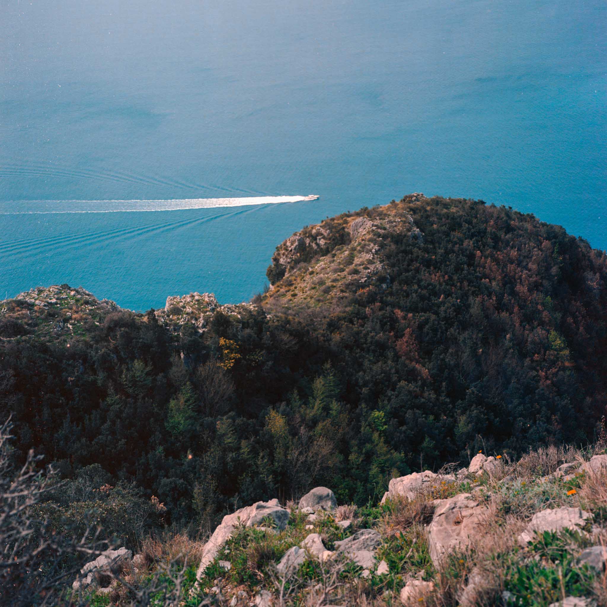 Una lancha deja una larga estela blanca en aguas turquesas junto a una ladera rocosa cubierta de árboles.