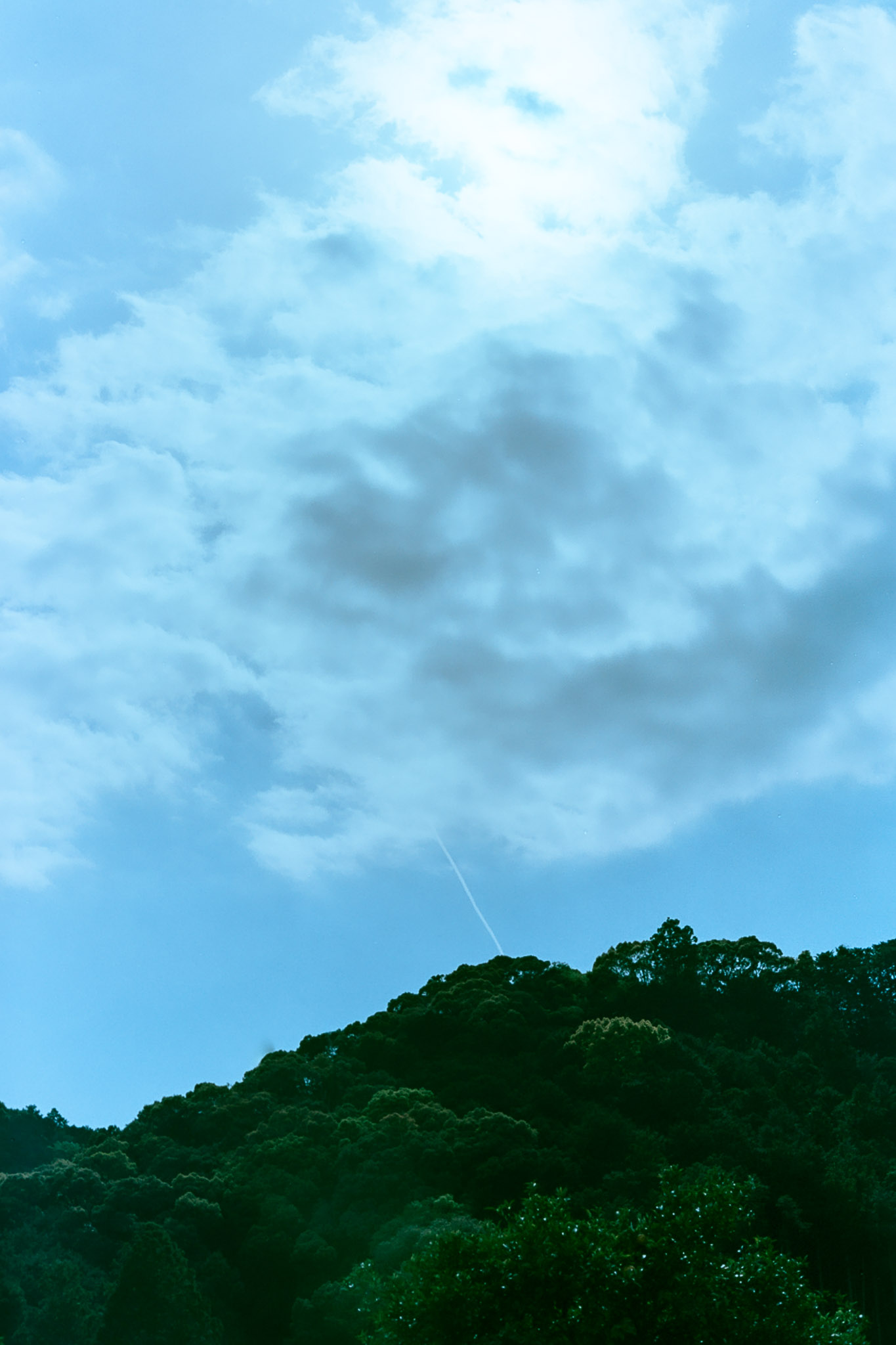 Nubes blancas y una estela de avión en el cielo azul sobre una ladera cubierta de árboles.