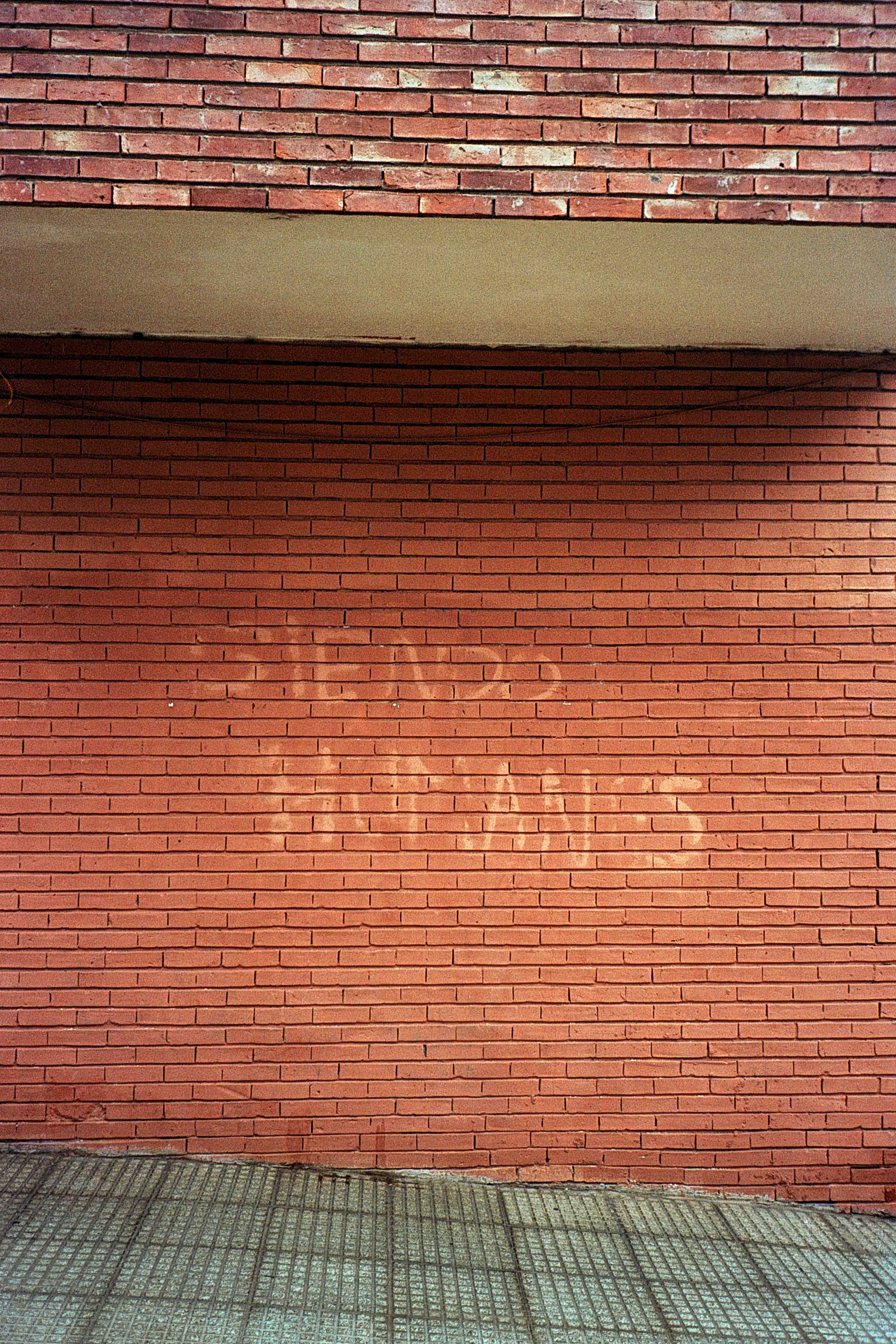 Las palabras SIENDO HUMANOS trazadas en color claro sobre una pared de ladrillos rojos.