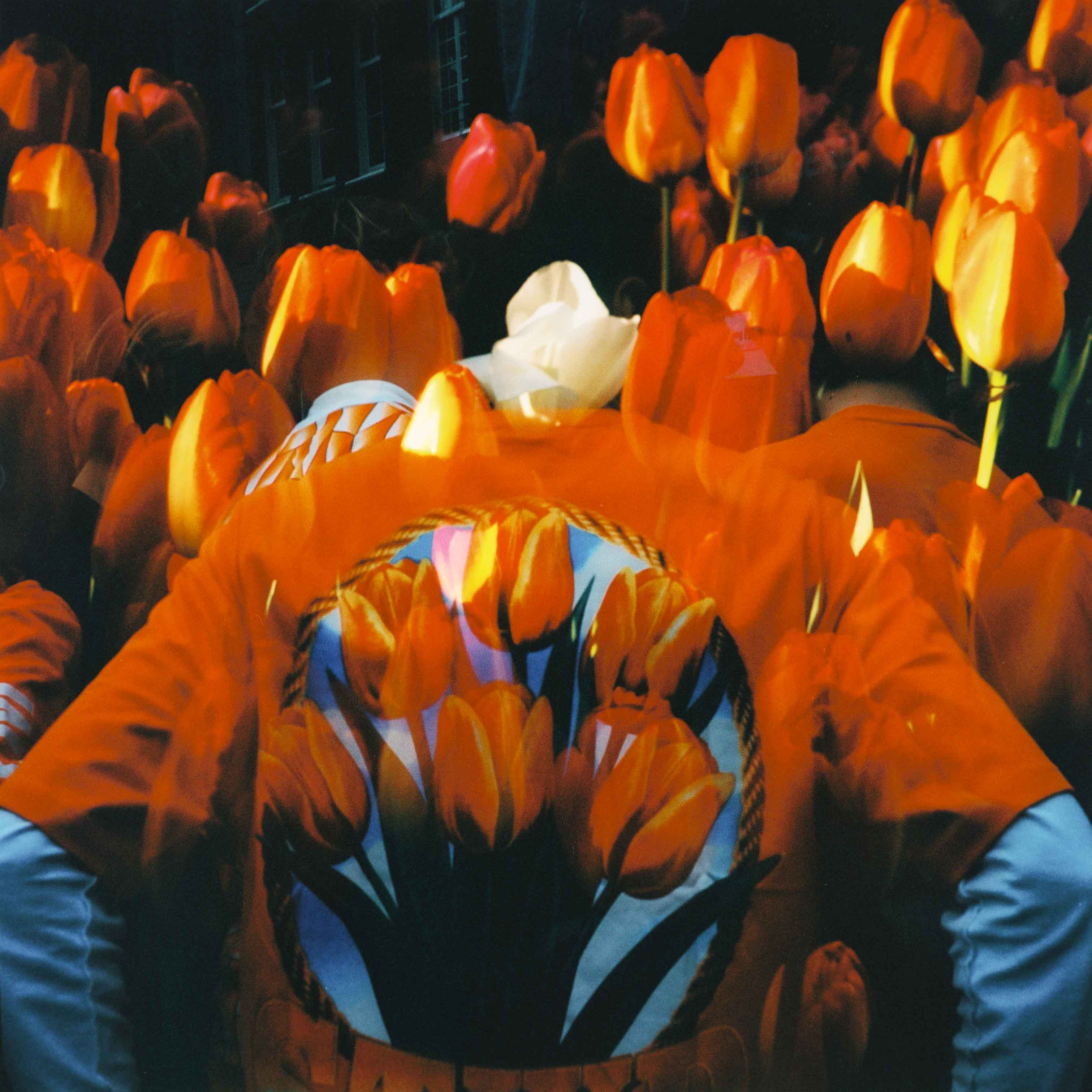 Espalda de una chaqueta naranja con un panel circular estampado de tulipanes, entre flores naranjas superpuestas.