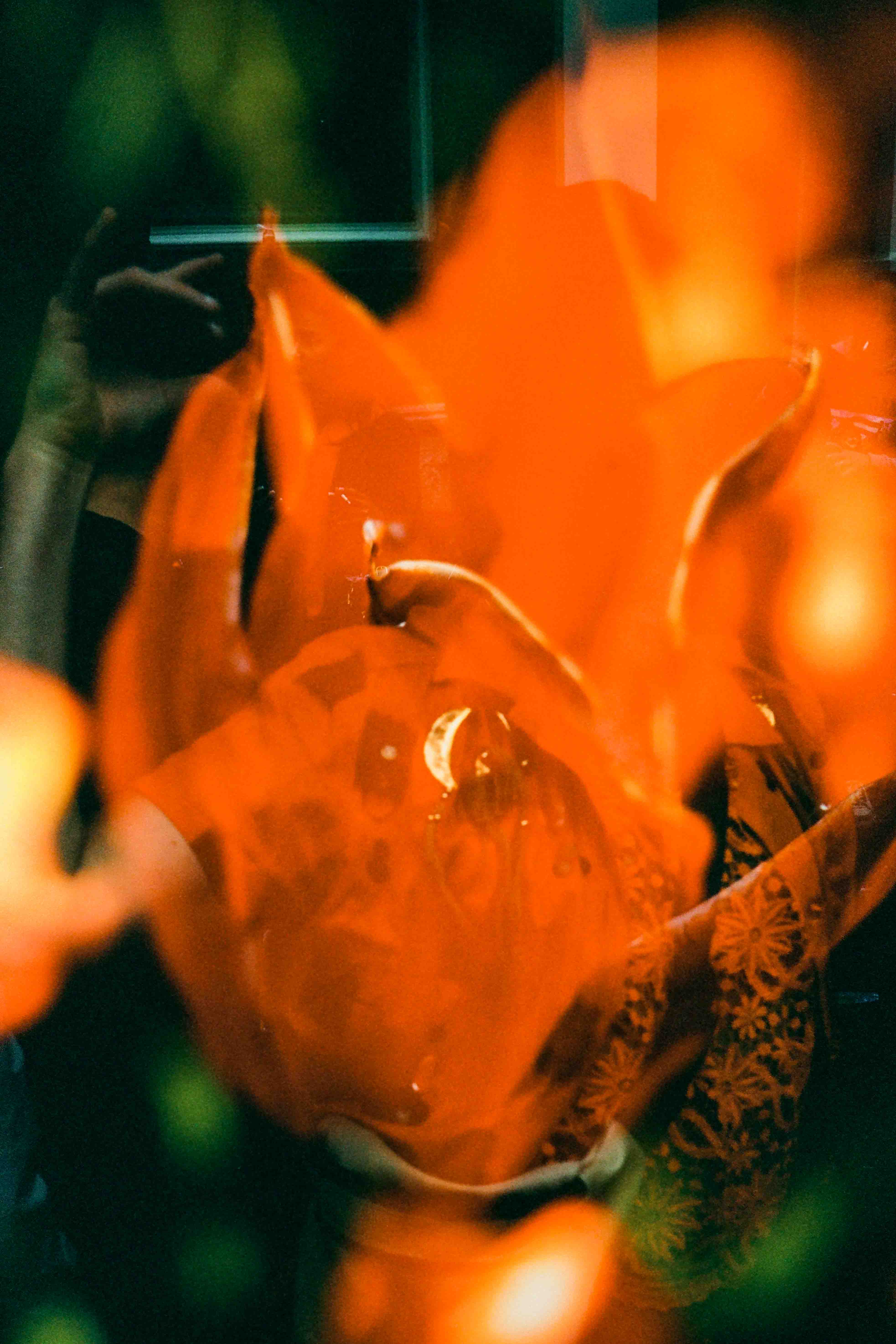Primer plano de una persona con tela estampada y una gran flor naranja superpuesta sobre el rostro.