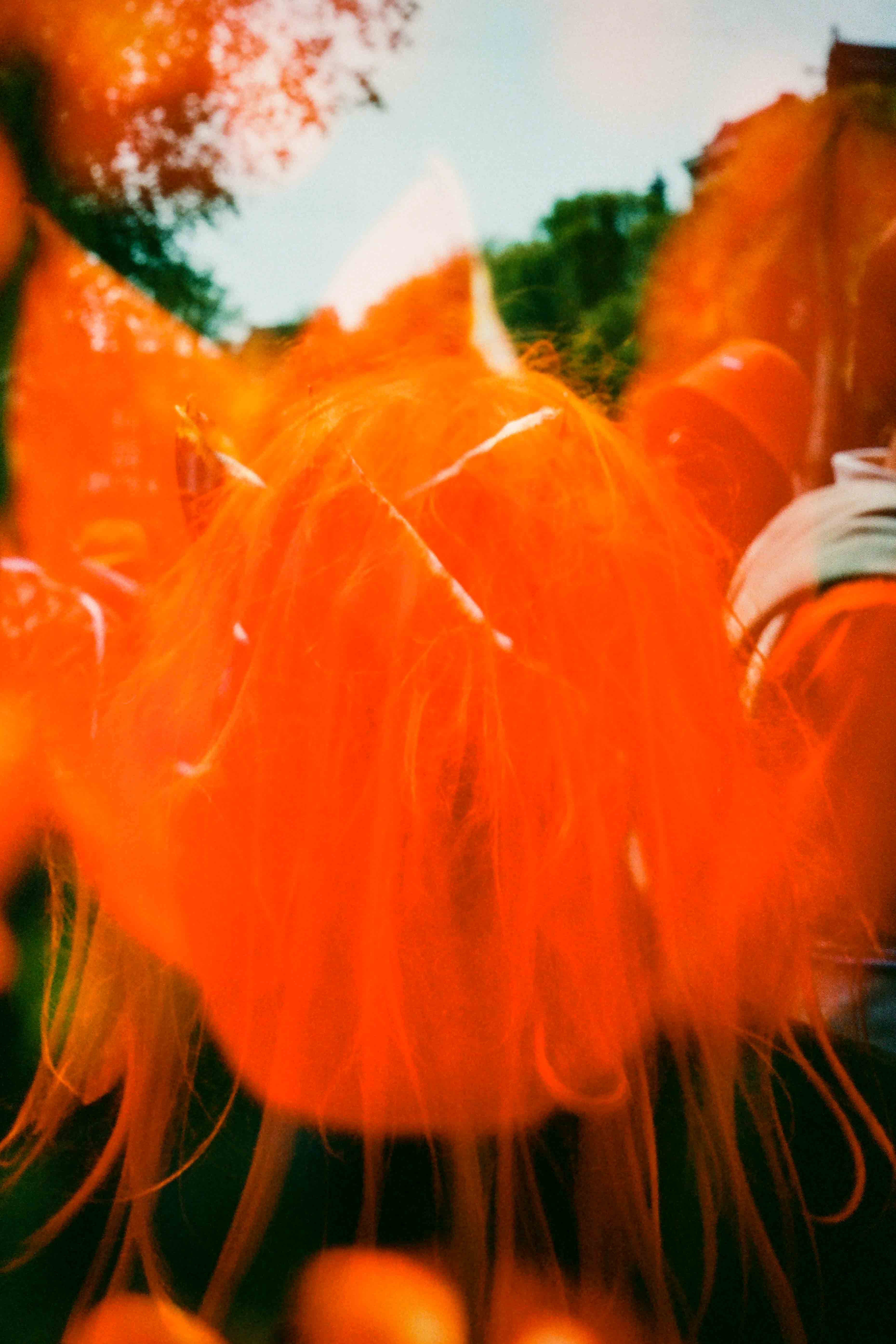 Persona de pelo naranja con una flor roja y naranja superpuesta sobre el rostro, ante árboles y cielo azul.