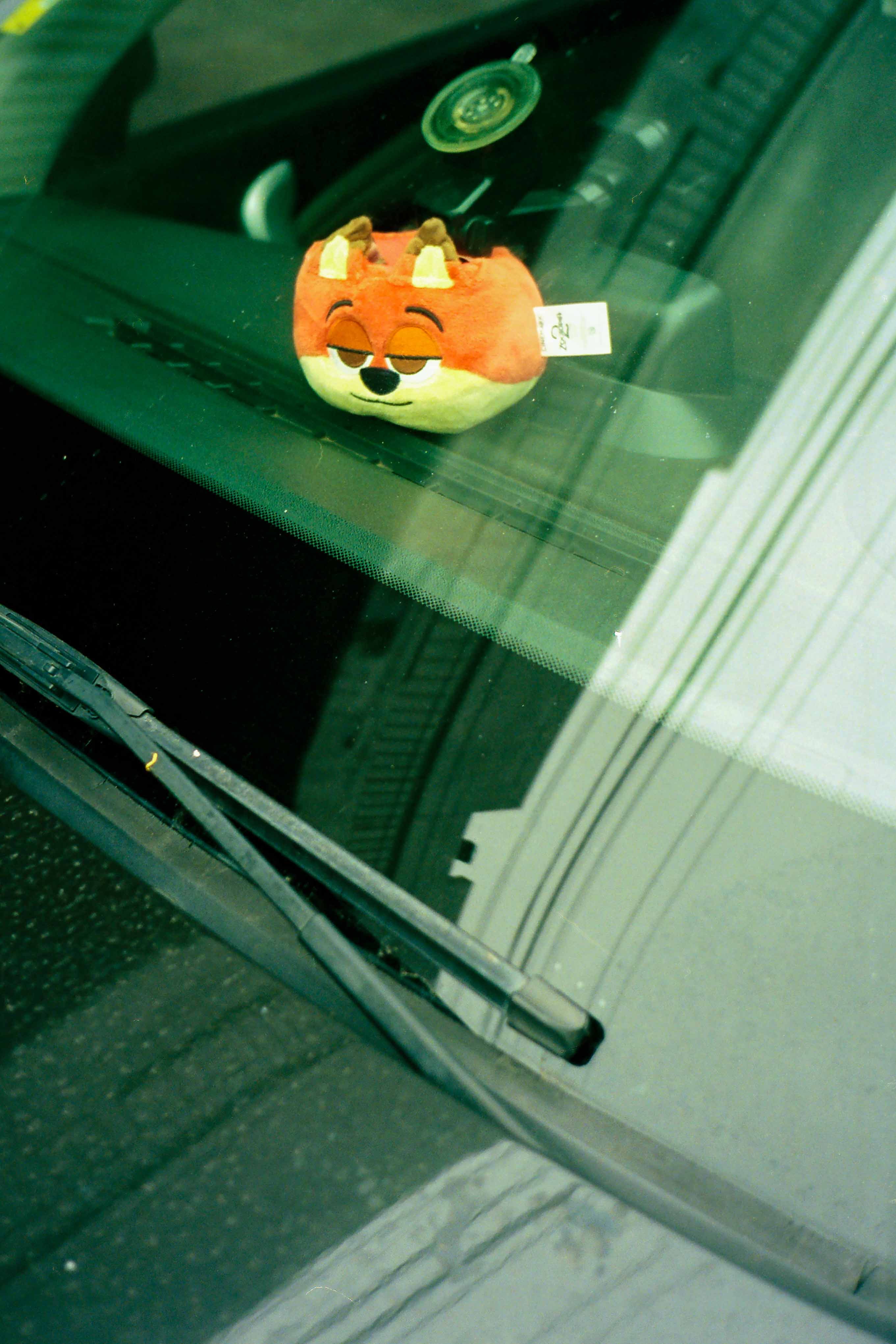 Peluche dentro de auto