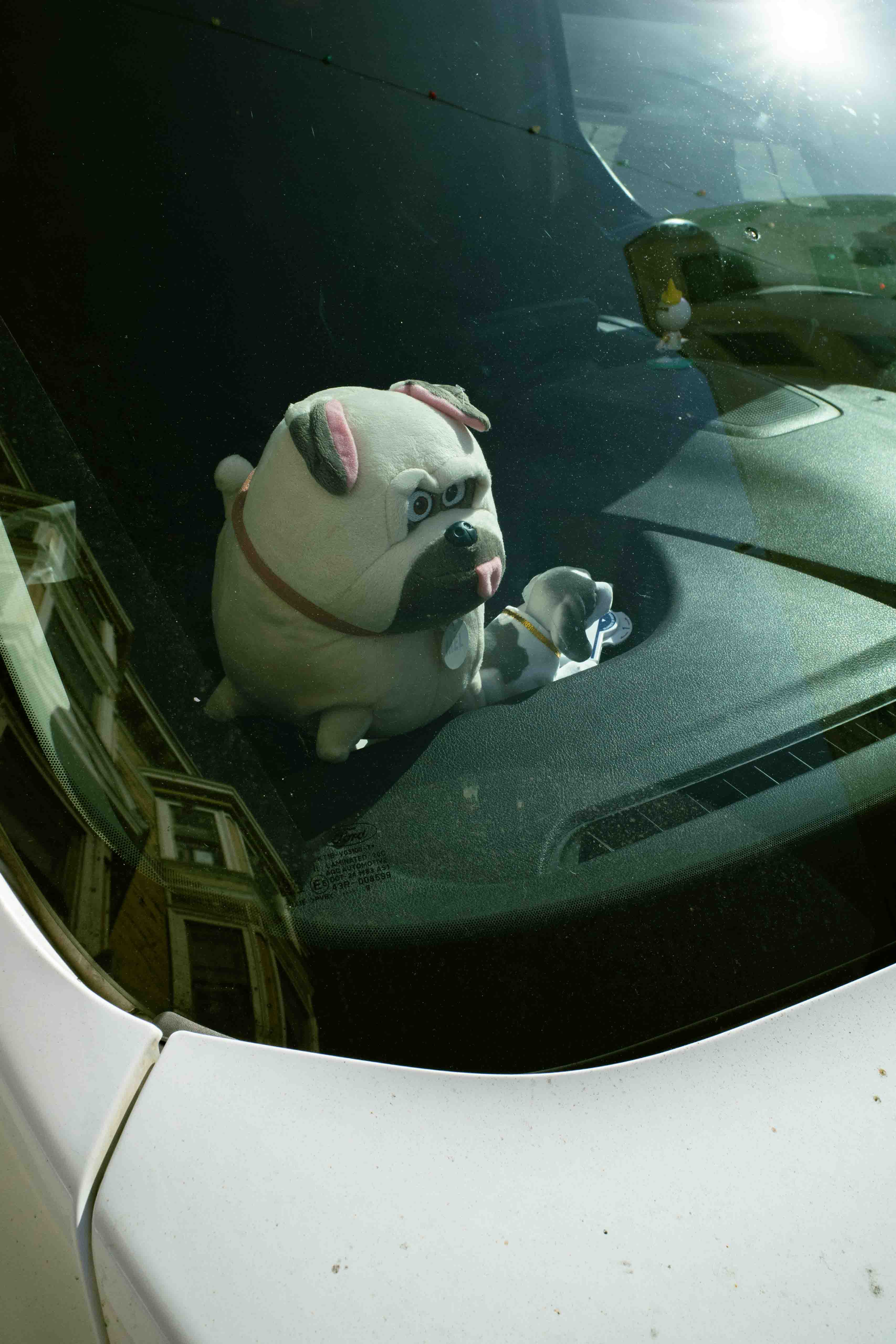 Peluche dentro de auto